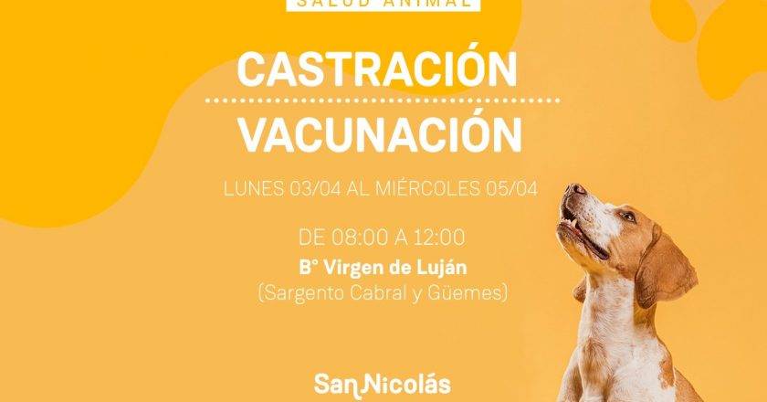 Castración y vacunación en Barrio Virgen de Luján