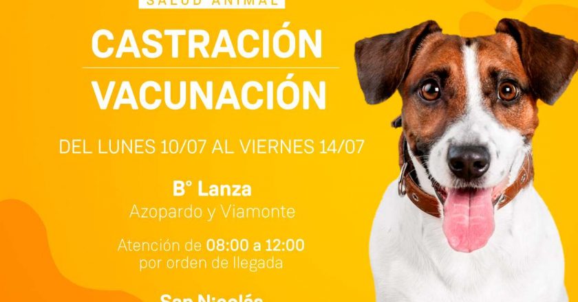 Castración y vacunación en Barrio Lanza