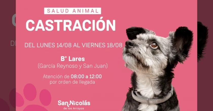 El tráiler de castración estará durante esta semana en barrio Lares