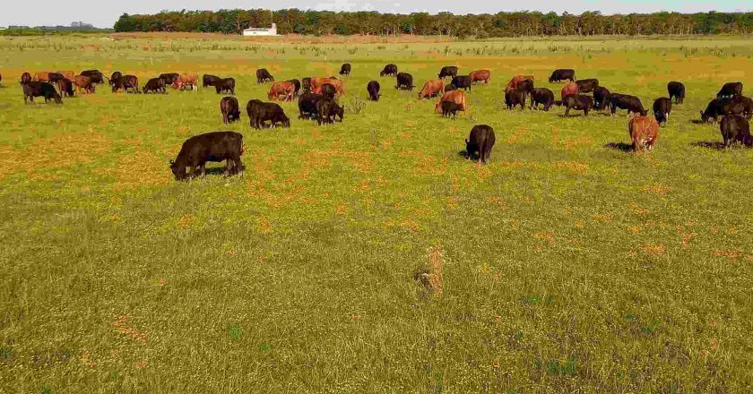 Productores preocupados por ingresos de “pseudo cazadores” a sus campos