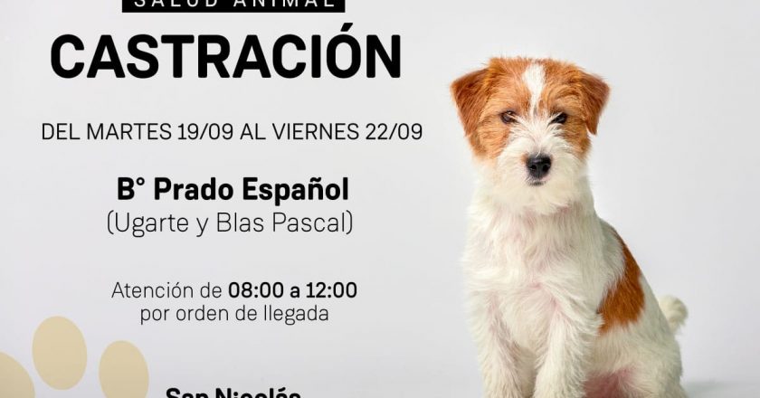 El trailer de castración atenderá en el barrio Prado Español