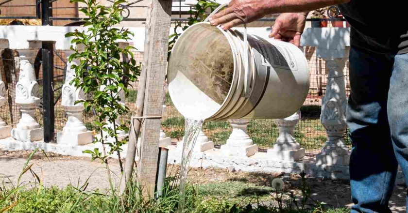 Gastón Canevaro: «La prevención de dengue empieza en casa»