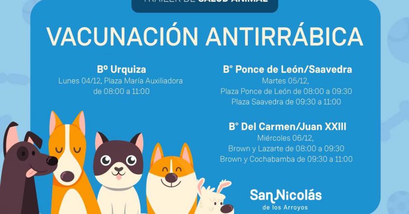 Vacunación antirrábica en los barrios de la ciudad