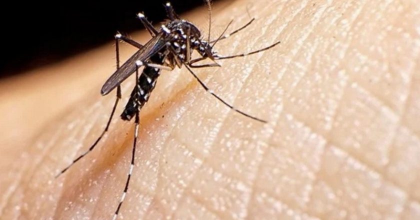 Los casos de dengue aumentaron un 87% en la provincia