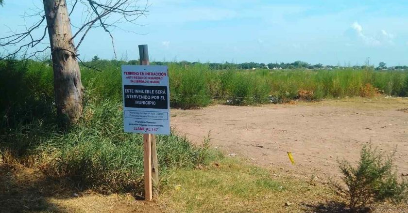 La Municipalidad continúa con los controles en terrenos baldíos y abandonados