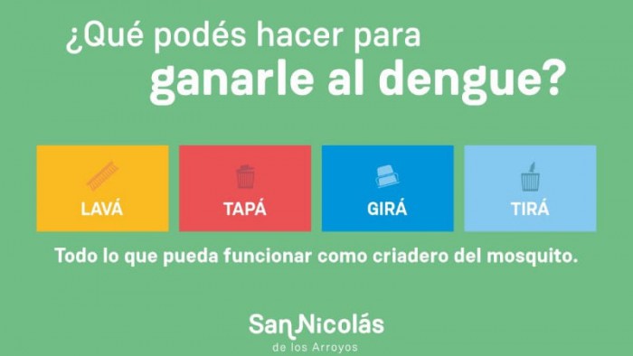 Dengue: Cómo evitar la presencia del mosquito trasmisor