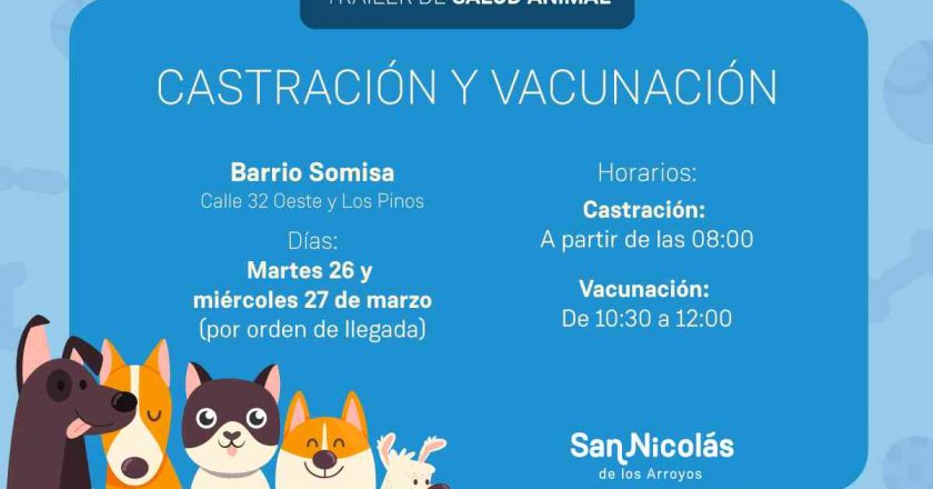 Castración y vacunación en barrio Somisa