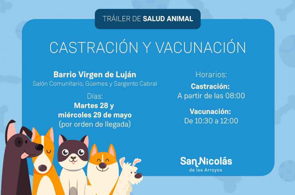 Castración y vacunación en barrio Virgen de Luján