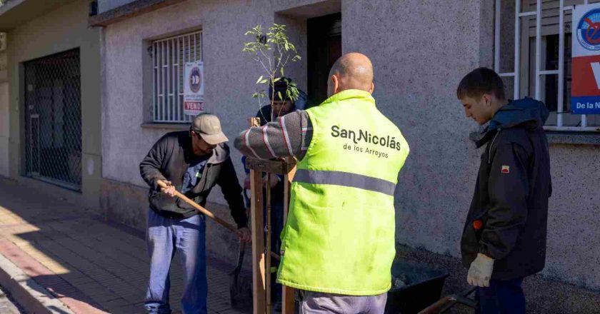 Continúa el plan de arbolado en la ciudad